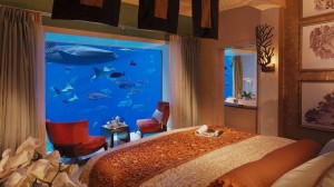 006388-02-bedroom-with-aquarium-underwater-view